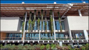 Fachada del Pérez Art Museum of Miami (PAMM) / Flickr