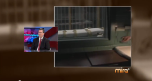 El abogado, John de León, en "Prohibido callarse"