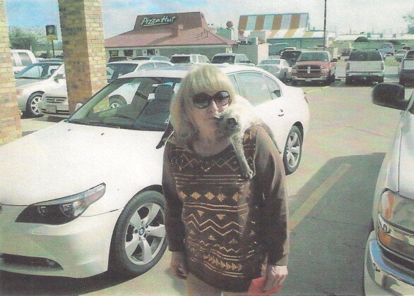 "Scooter" se convierte en el gato más viejo del mundo.